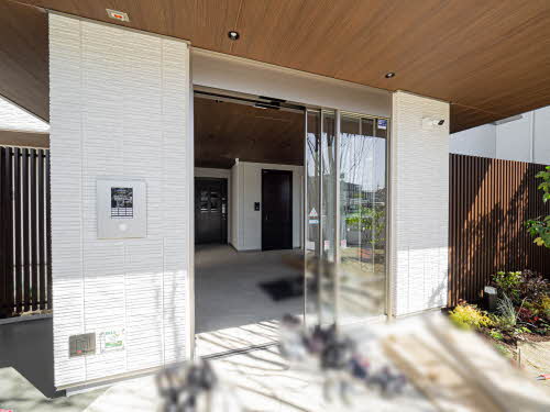 Ｓｈａｍａｉｓｏｎ　Ｓｔｅｌｌａ　Ｒｉｓａｉａ 0305号-3