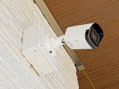 Ｓｈａｍａｉｓｏｎ　Ｓｔｅｌｌａ　Ｒｉｓａｉａ 0305号-5