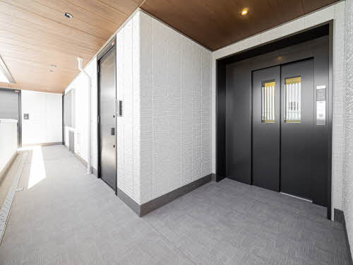 Ｓｈａｍａｉｓｏｎ　Ｓｔｅｌｌａ　Ｒｉｓａｉａ 0305号-6