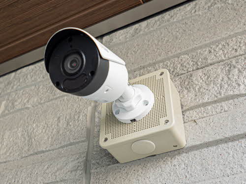 ＳｈａＭａｉｓｏｎ　ＬＯＴＵＳ 0203号-4