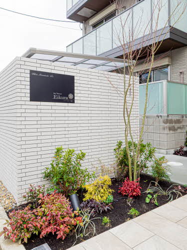 ｓｈａｍａｉｓｏｎ　栄蔵 0301号-13