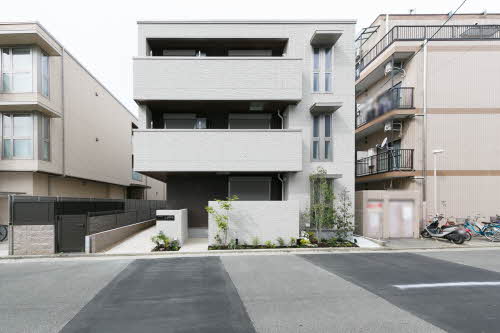 ＳｈａＭａｉｓｏｎ　ｐｏｎｏ 0301号-12