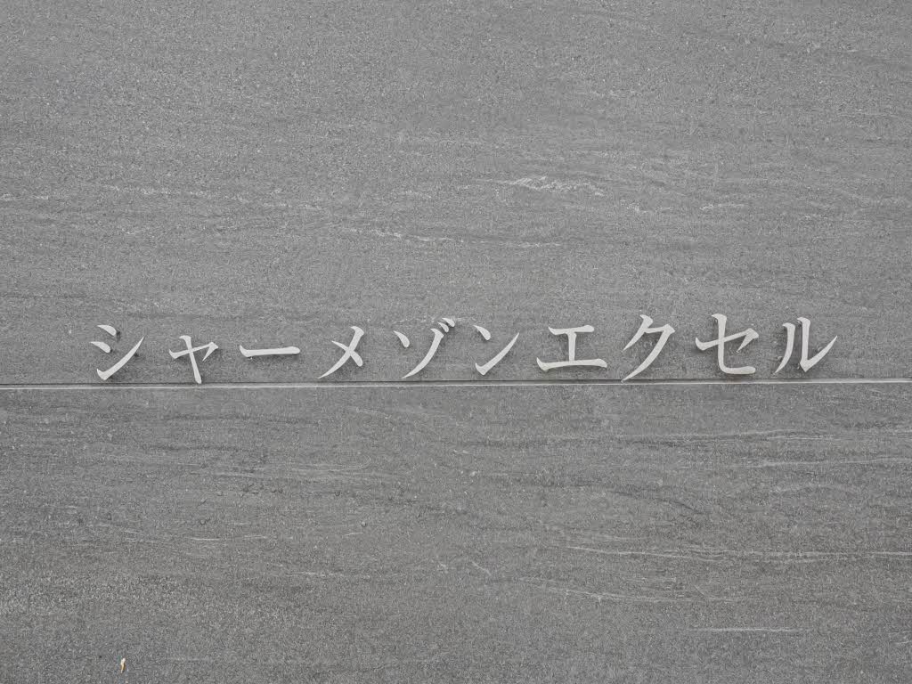 シャーメゾン　エクセル 0206号-12