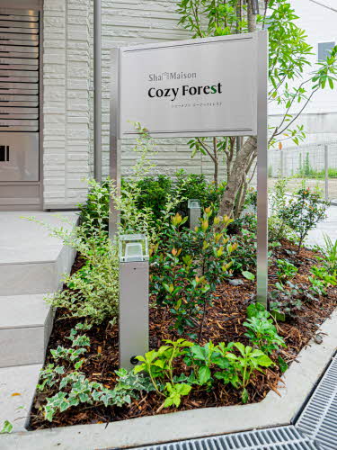 シャーメゾン　Ｃｏｚｙ　Ｆｏｒｅｓｔ 0205号-11