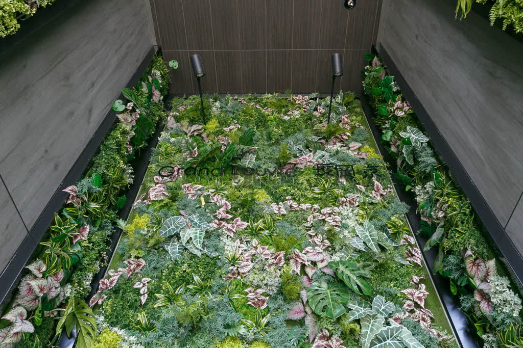 Ｇｒａｎｄ　Ｌｏｕｖｒｅ　長岡京 0301号-2