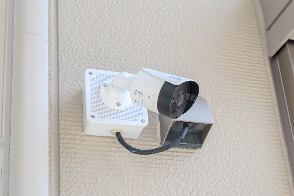 ＳｈａＭａｉｓｏｎ　慶 0101号-5