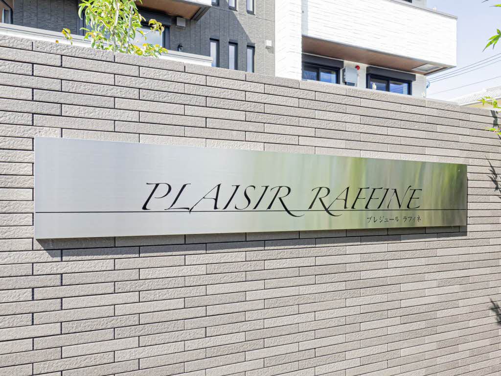 ｐｌａｉｓｉｒ　ｒａｆｆｉｎｅ 0305号-12