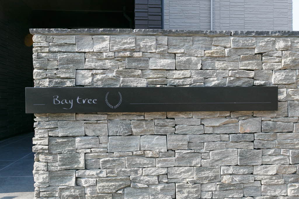 Ｂａｙ　Ｔｒｅｅ 0302号-2