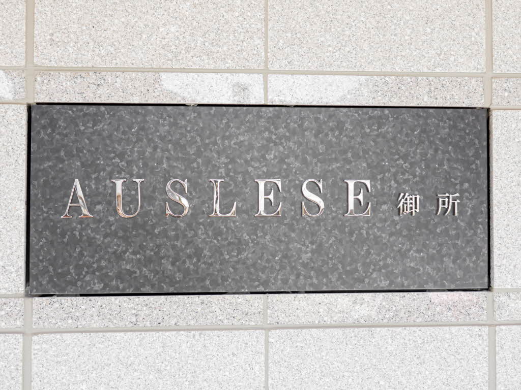 アウスレーゼ御所 0301号-12