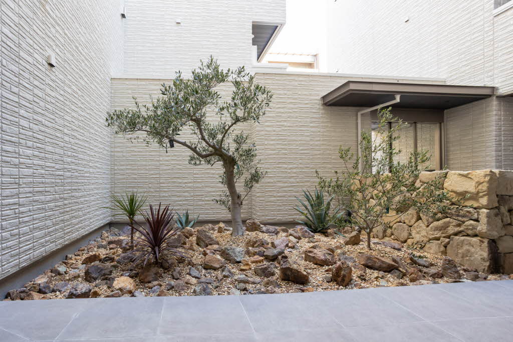 ＳＥＡＶＥ夙川 0201号-5