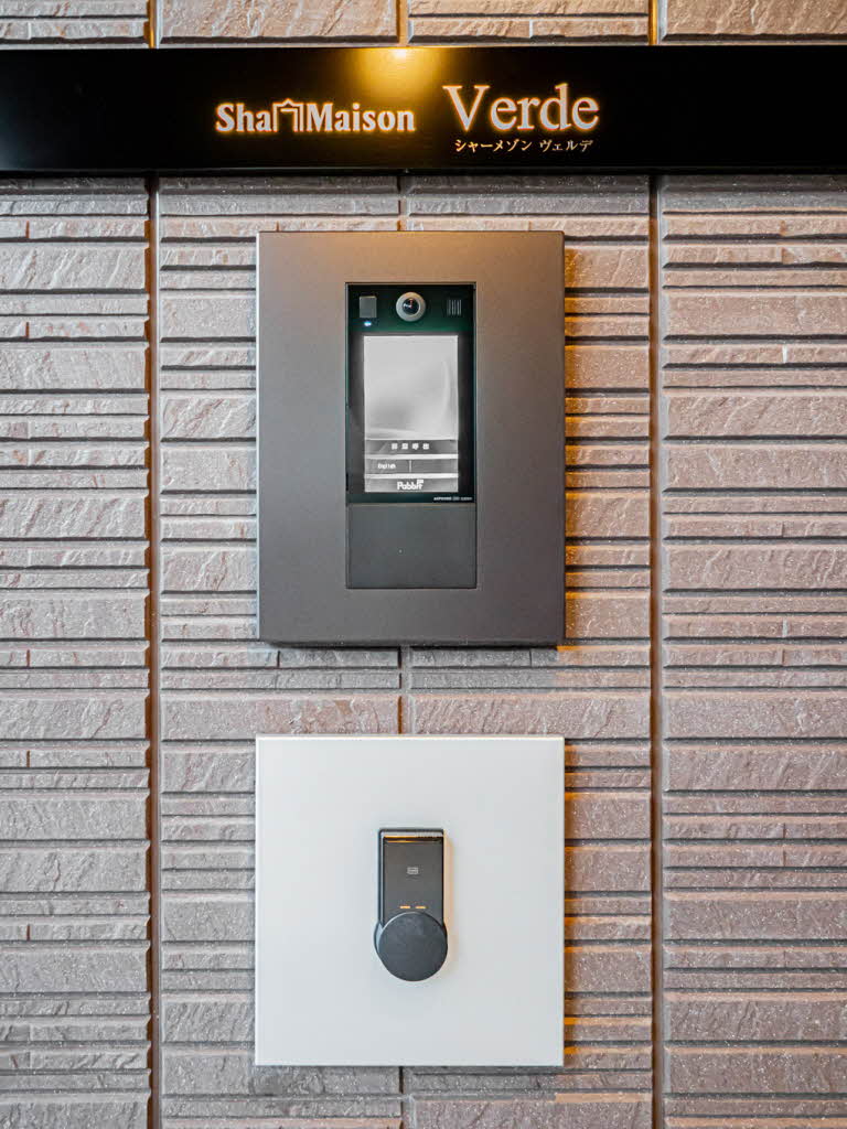 Ｓｈａｍａｉｓｏｎ　ｖｅｒｄｅ 0203号-13