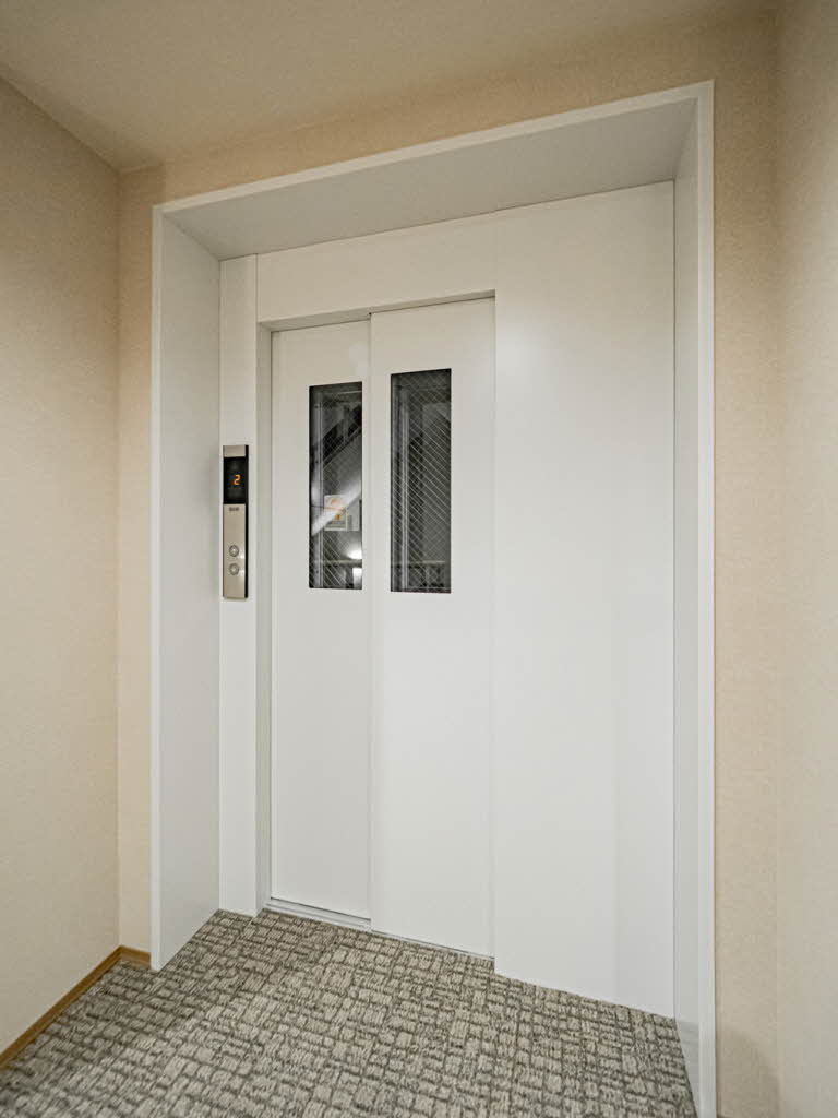 Ｓｈａｍａｉｓｏｎ　ｖｅｒｄｅ 0203号-14