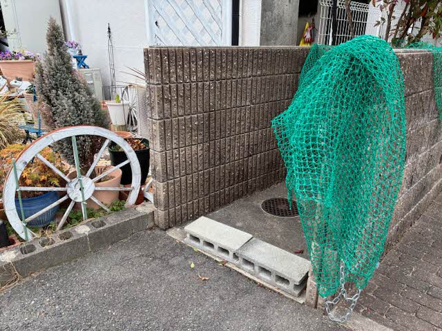 Ａｖｅｎｕｅ　Ｋ 0102号-15