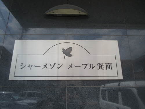 その他画像2