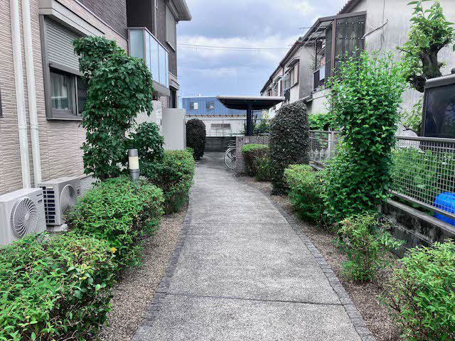 ｗｏｏｄ　Ⅱ 0202号-3