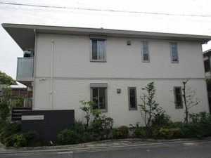 アンビエラ百舌鳥