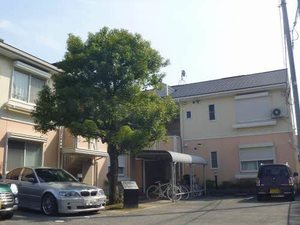 フィールドハイツ 0201号-1