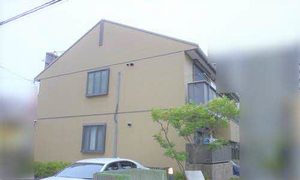 シャーメゾン田川北 A202号-1