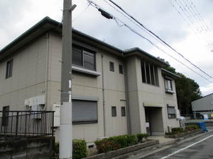 Ｃａｓａ　Ｃａｒｉｎａ 0101号-14