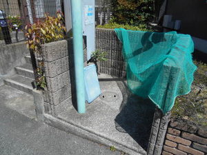 ノゾミハイツ 0202号-11