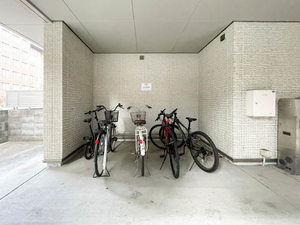 ＳＯＬ．ＬＥＶＡＮＴＥ，Ⅹ 0303号-14