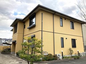 グランドコート