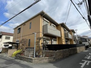 パステルコート