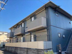 シャーメゾン島之内 0202号-1