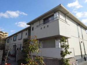 シャローム　小枝