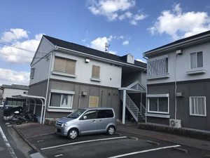 フレグランス錦 B101号-1