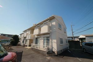 サンハオス 0201号-12