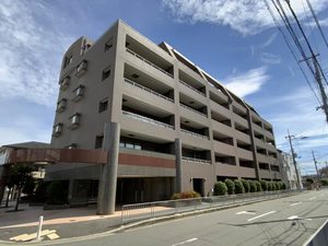 ステラ中百舌鳥