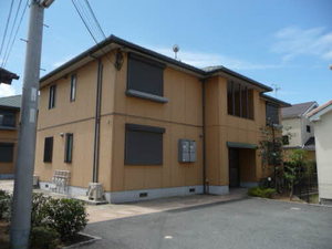 グリーンフィールド