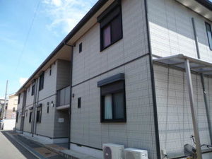 ジュネスコートＡ棟 0201号-1