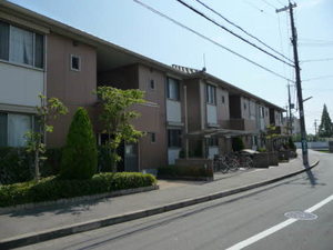 アークグレイス