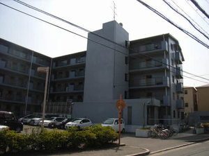 コート・ザ・ルピナス