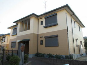 グリーン　オアシス