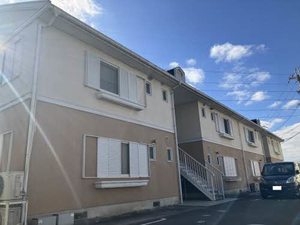 フレグランス畑毛 0206号-1