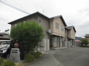 アプリコット 0102号-1