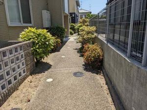 シャーメゾン須磨海浜公園 0101号-3