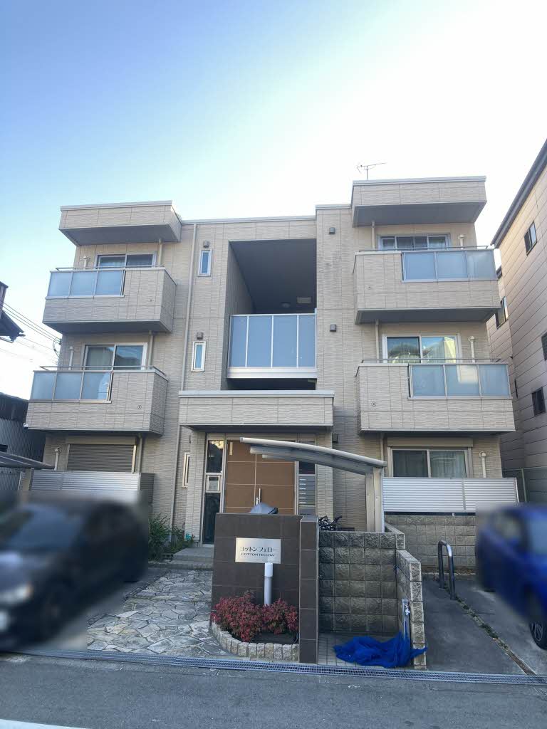 コットン　フェロー