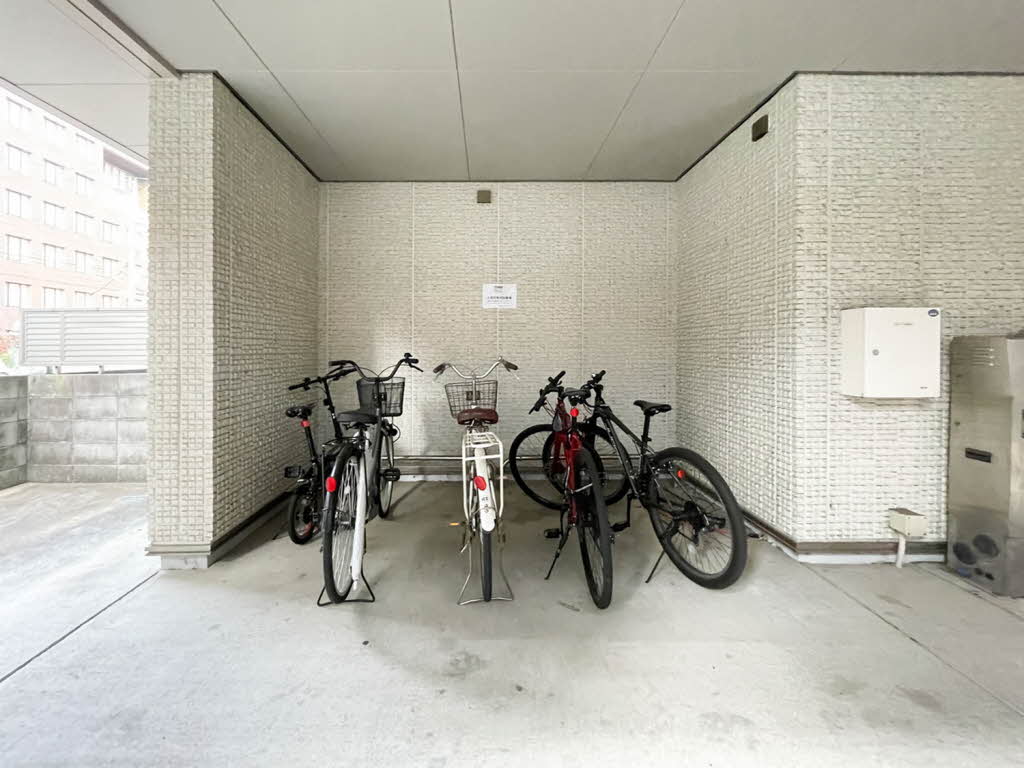 ＳＯＬ．ＬＥＶＡＮＴＥ，Ⅹ 0303号-14