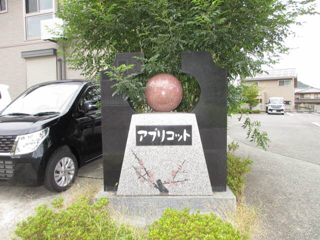 アプリコット 0102号-13