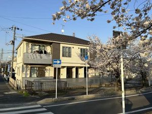 グラン　チェリー 0202号-1