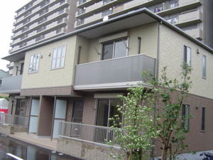 フローラル　ボーダ