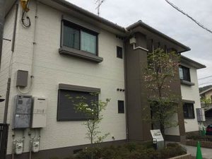 ブルーム 0201号-1