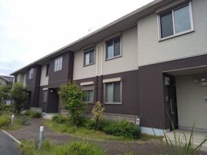 ＰＩＳＯ　ＭＡＲＩＯ