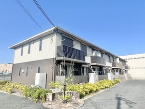 シュシュ　しらかし 0202号-1