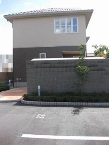 Ｂｅｌｔａ　吉身