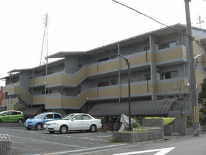 アネモス壱番館 0206号-11